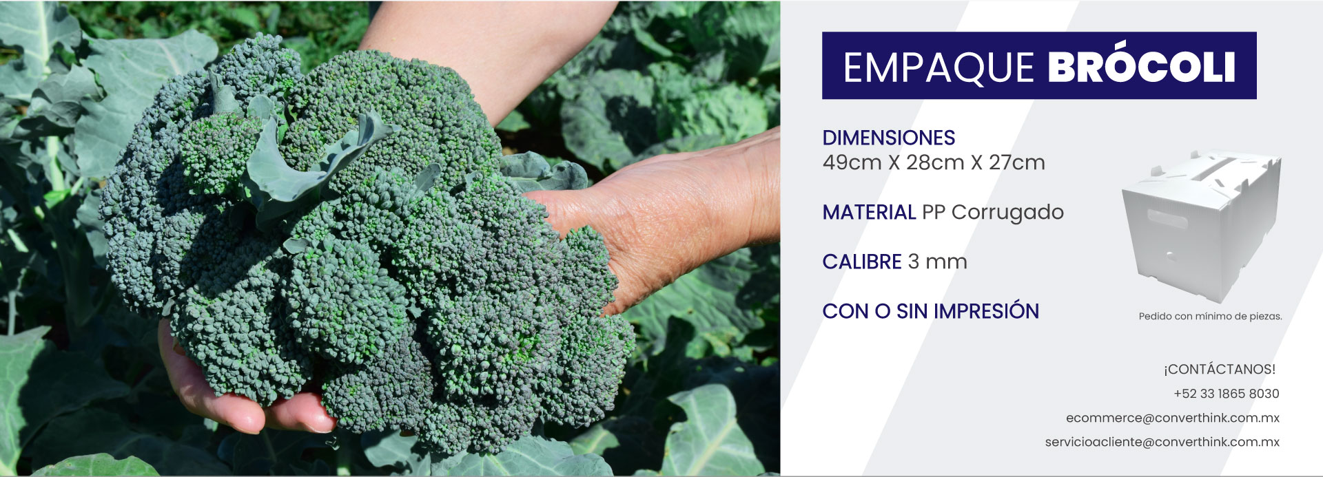 Banner-Empaque-Brocoli