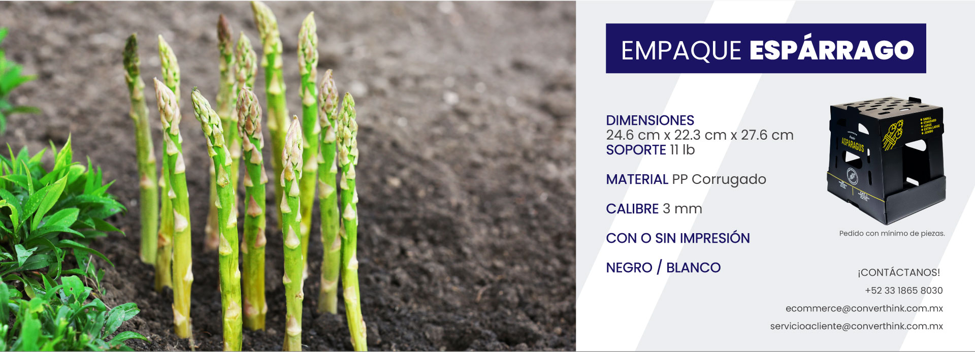 Banner-Empaque-Esparrago